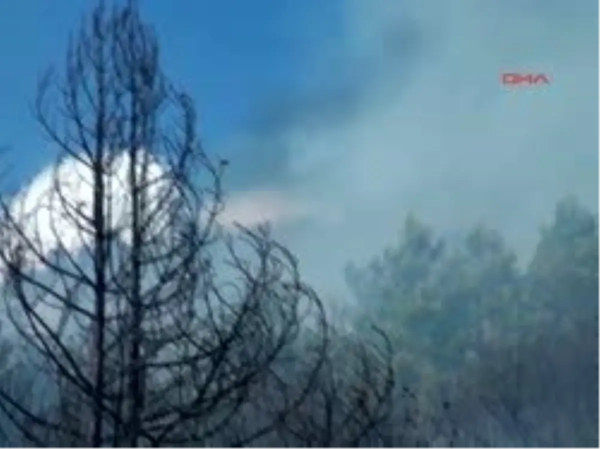 9 Ev Yandı, 2 Büyükbaş Hayvan Telef Oldu