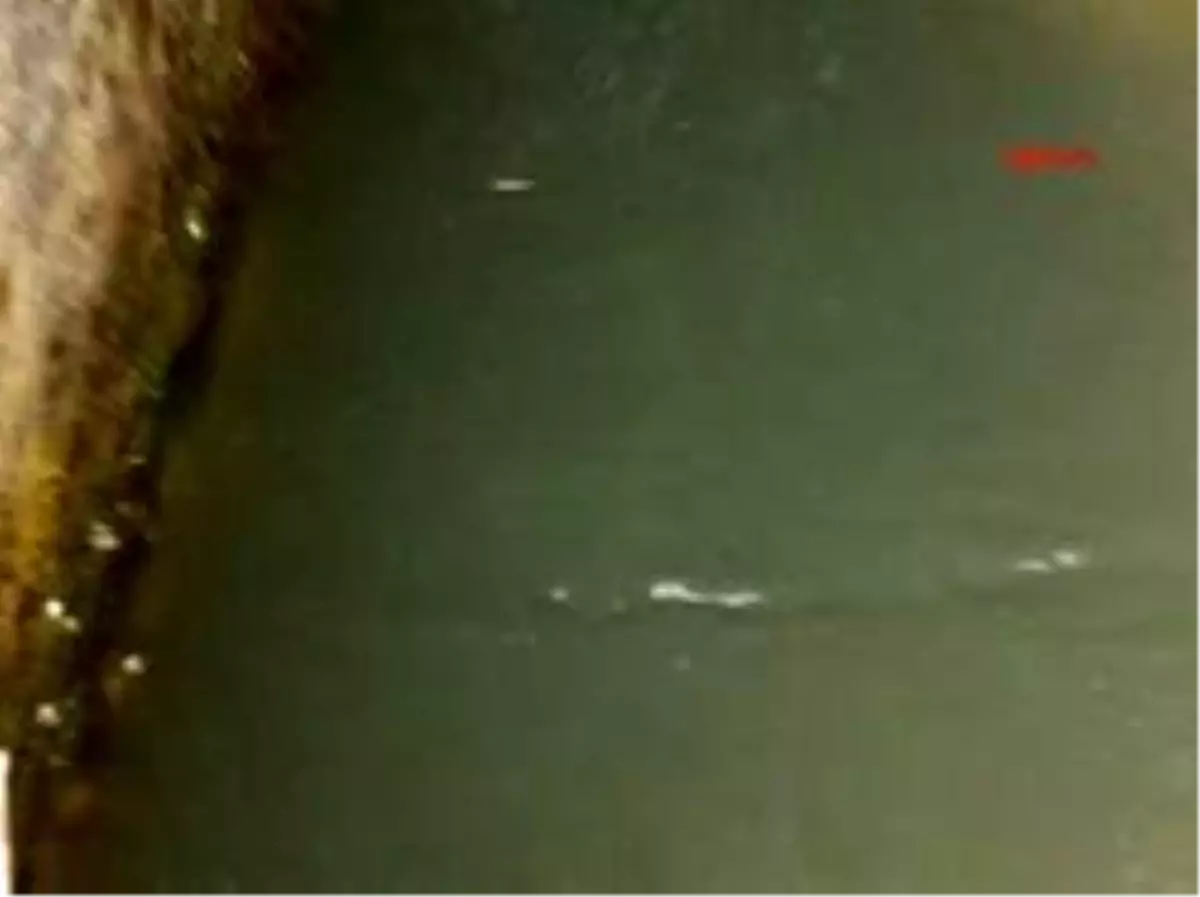 3.3 Büyüklüğündeki Deprem Bartın\'ı Susuz Bıraktı