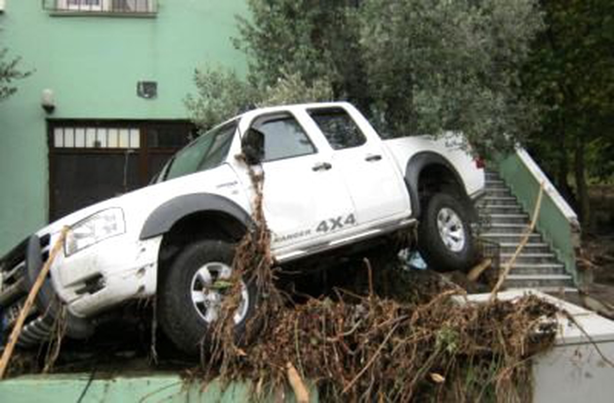 Marmara Adası'nda 6 Evi Su Bastı, 14 İnek Telef Oldu (2)
