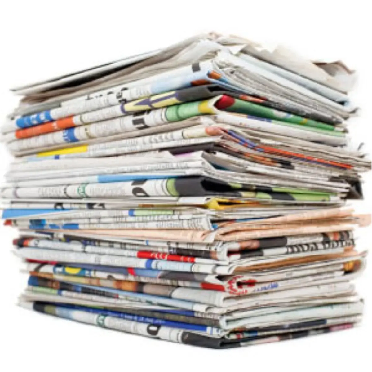 Tam Bir Yılan Hikayesi