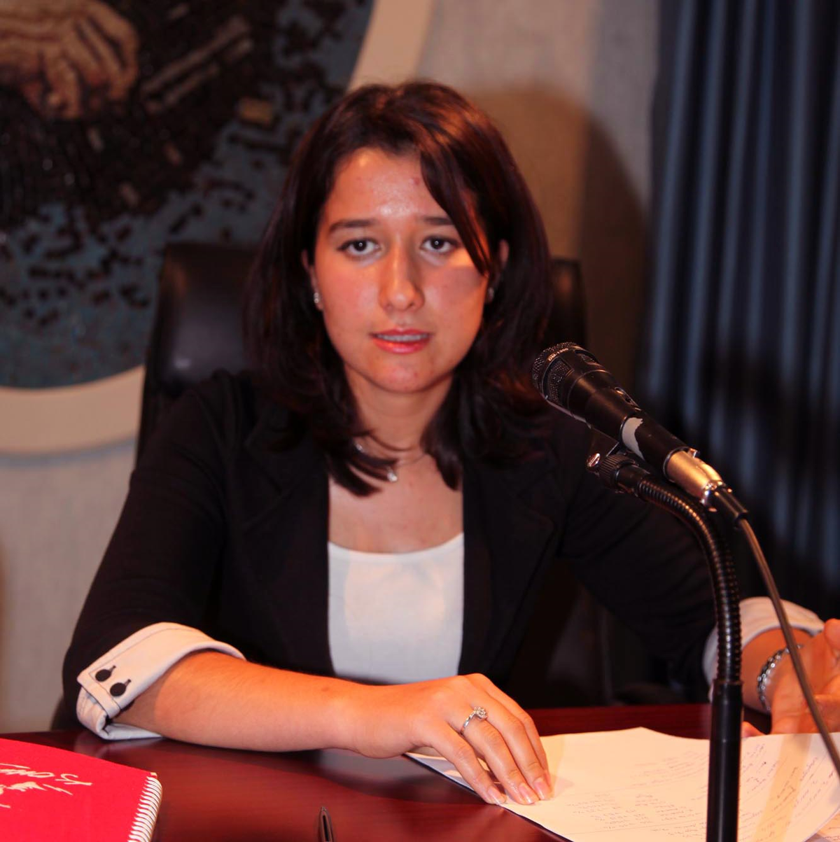'Enerji Savaşları ve Türkiye'nin Konumu'