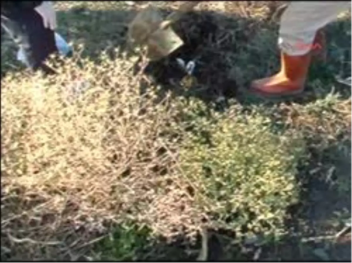 Kadın Savcıdan Babaya Bebek Tepkisi