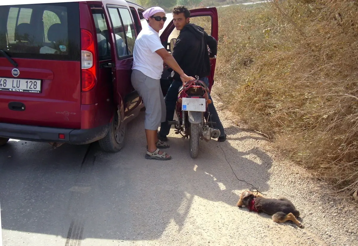 Yavru Köpeğe Akılalmaz İşkence