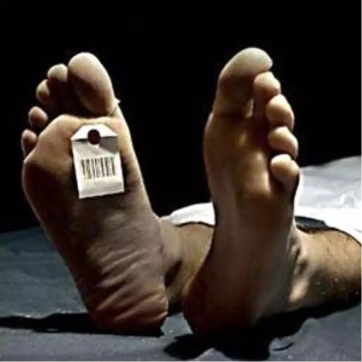 Çatıdan Düşen İşçi Hayatını Kaybetti