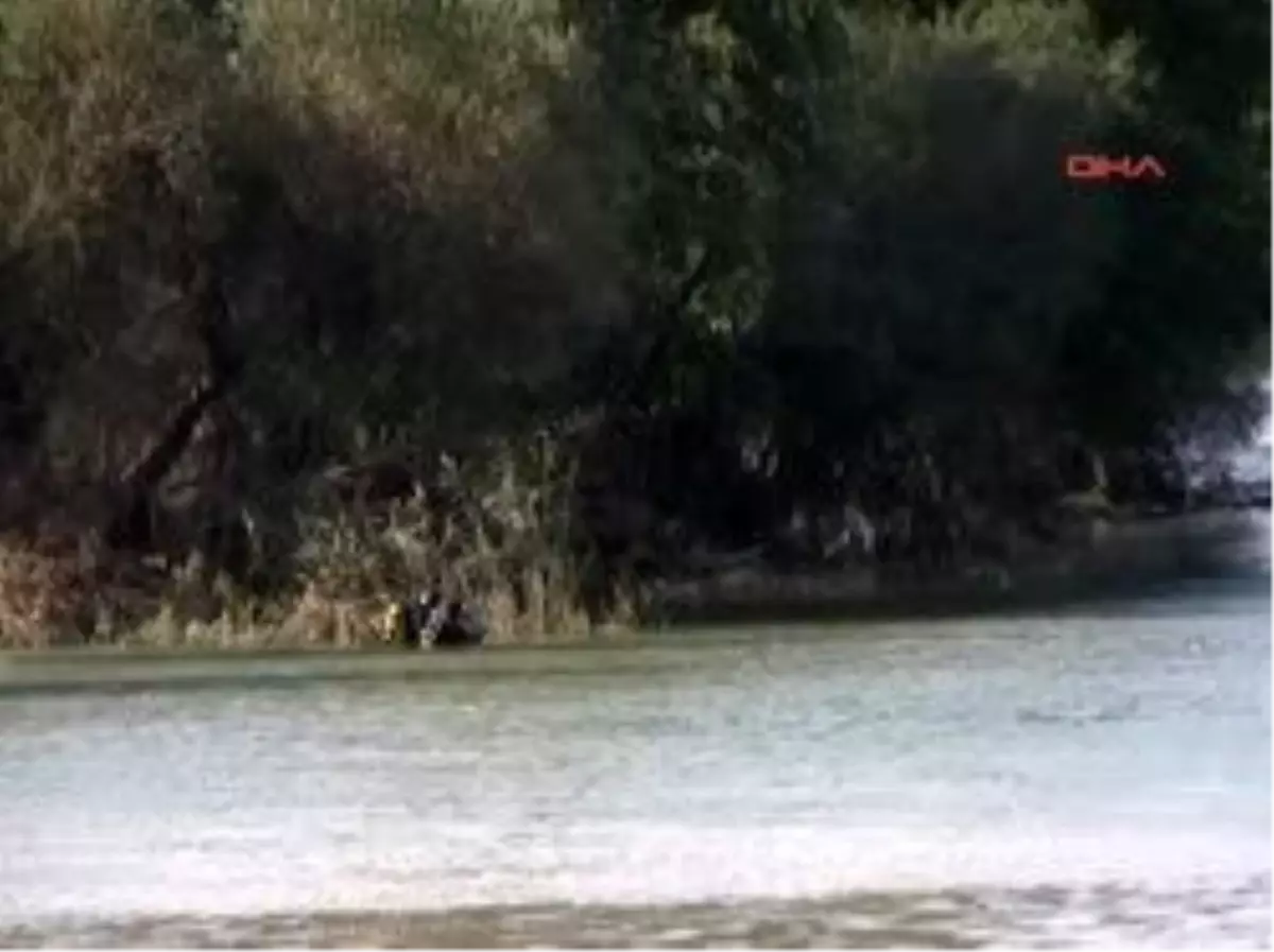 Felaketin Yaraları Sarılıyor