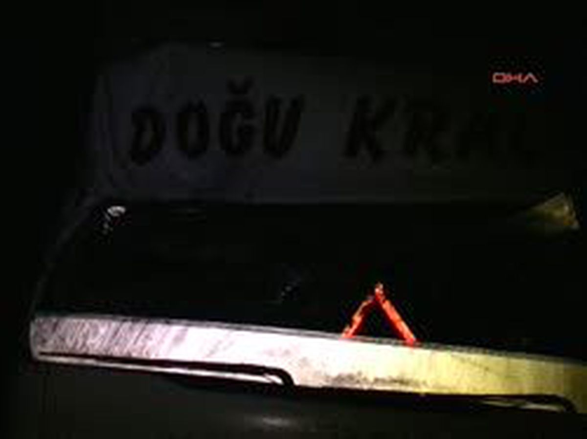 Eşeğe Çarpan Otomobilin Sürücüsü Öldü