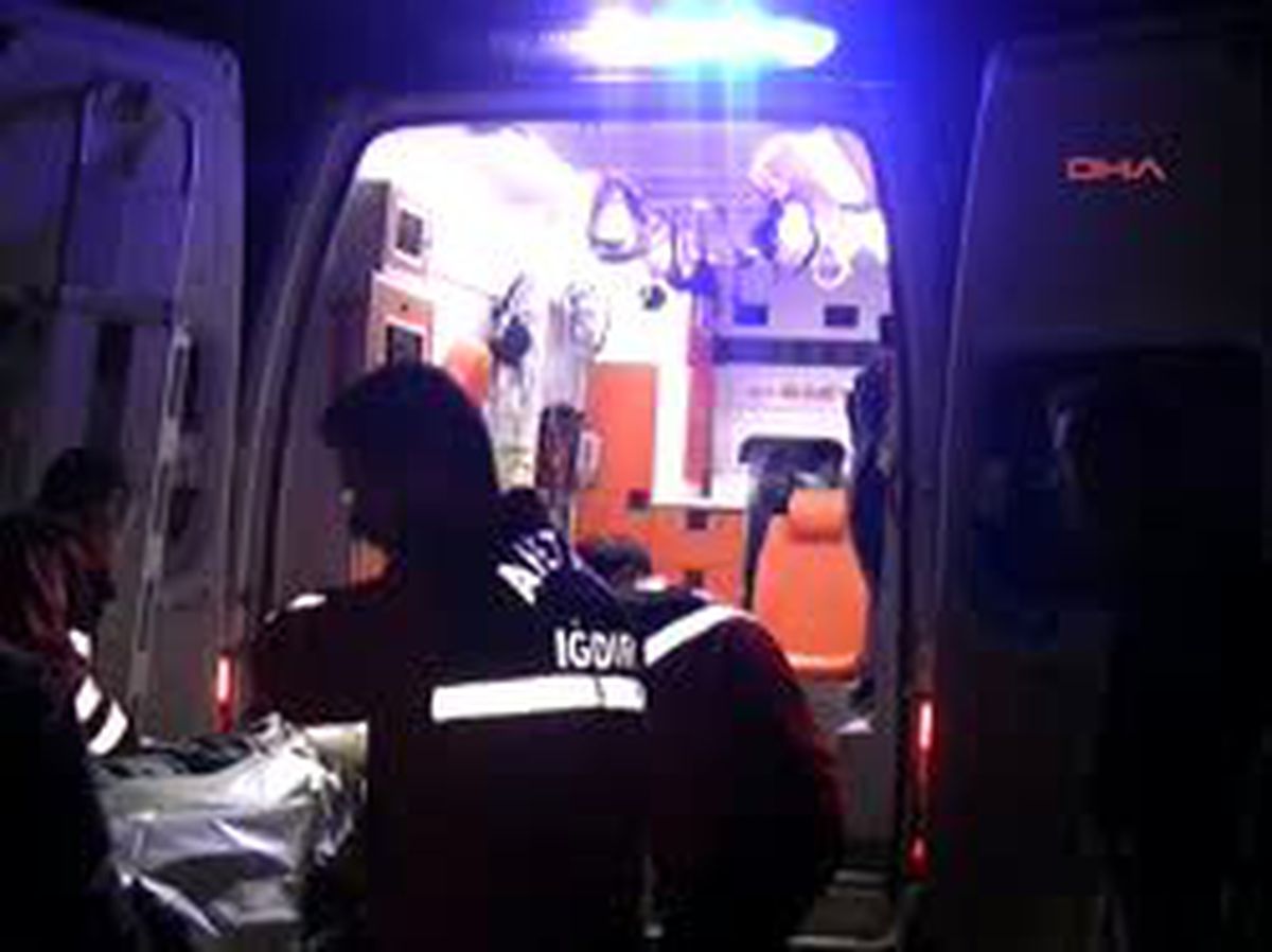 Iğdır2eşeğe Çarpan Otomobilin Sürücüsü Öldü