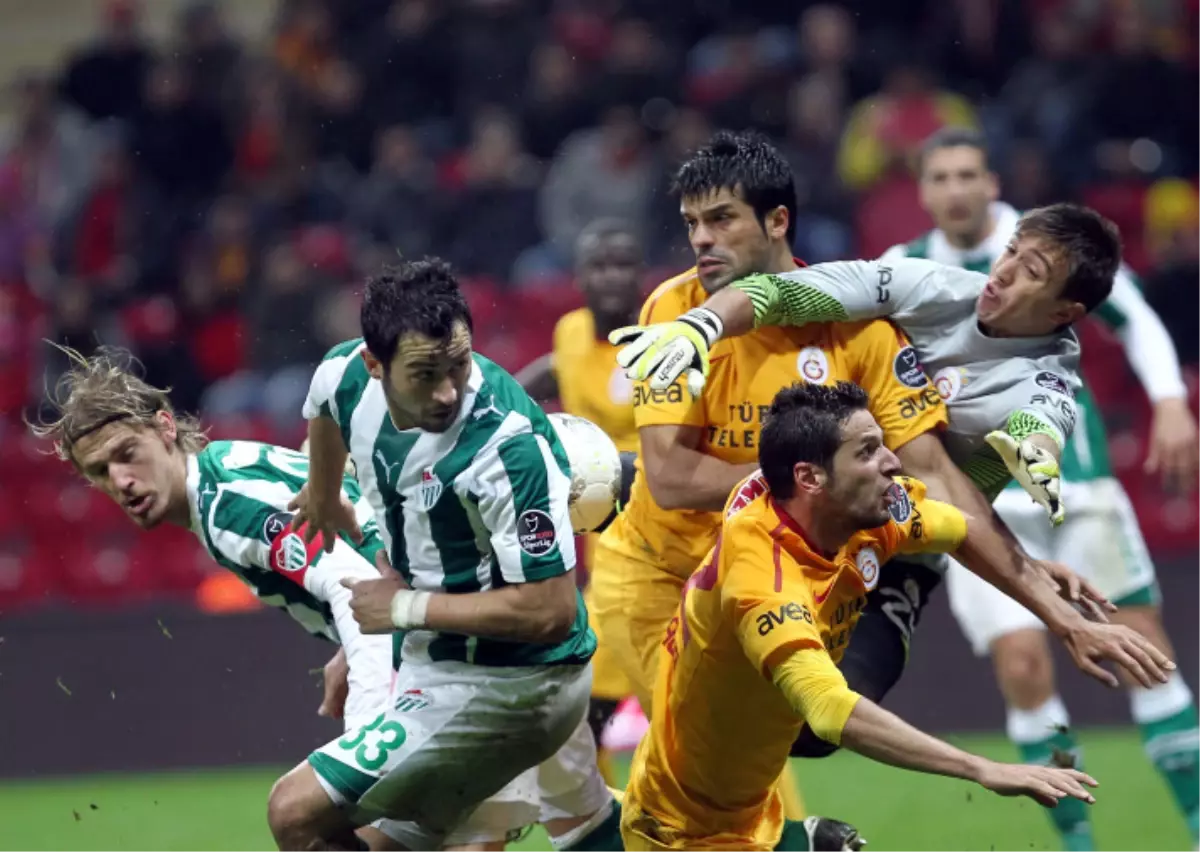 Aslan Timsah\'ın Bacağını Kırdı