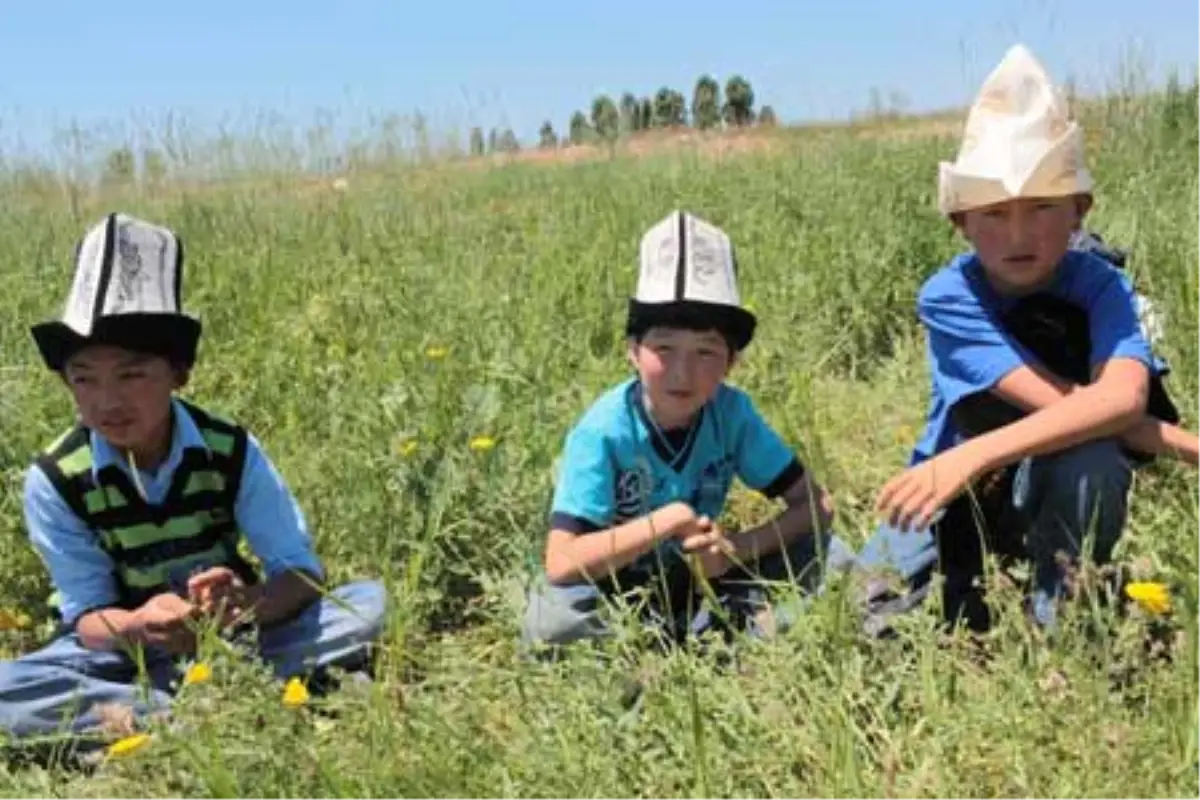 Göçün Trajedisi TRT Türk'te