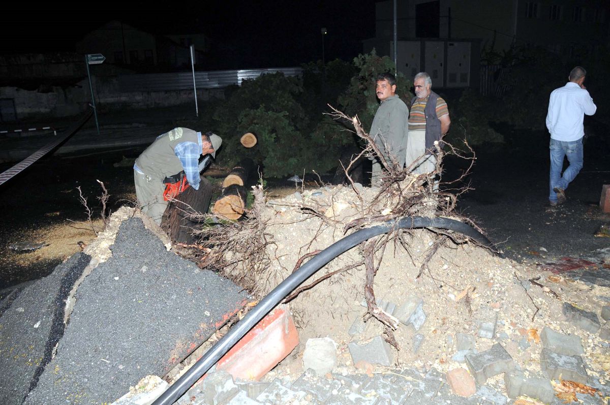 Tarsus'ta Fırtına Ağaçları Kökünden Söktü