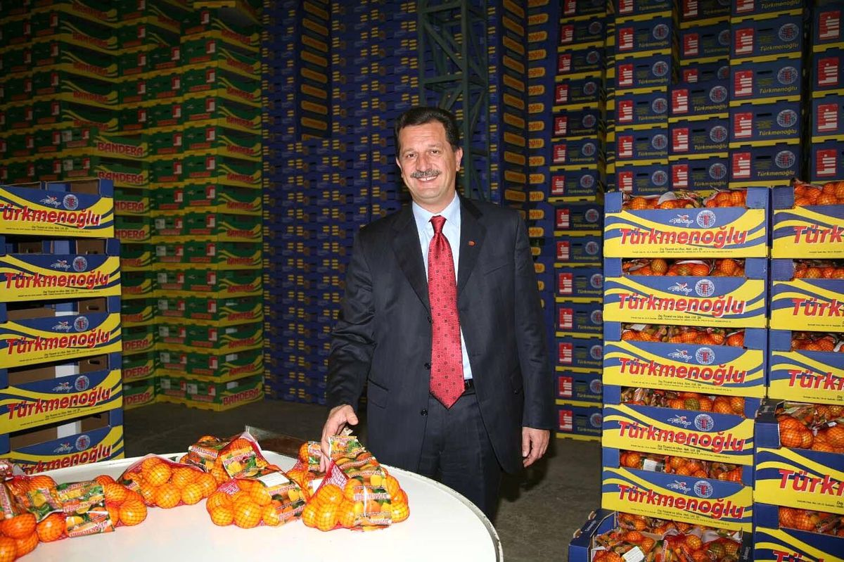 Satsuma Mandalinada İhracat Hazırlığı