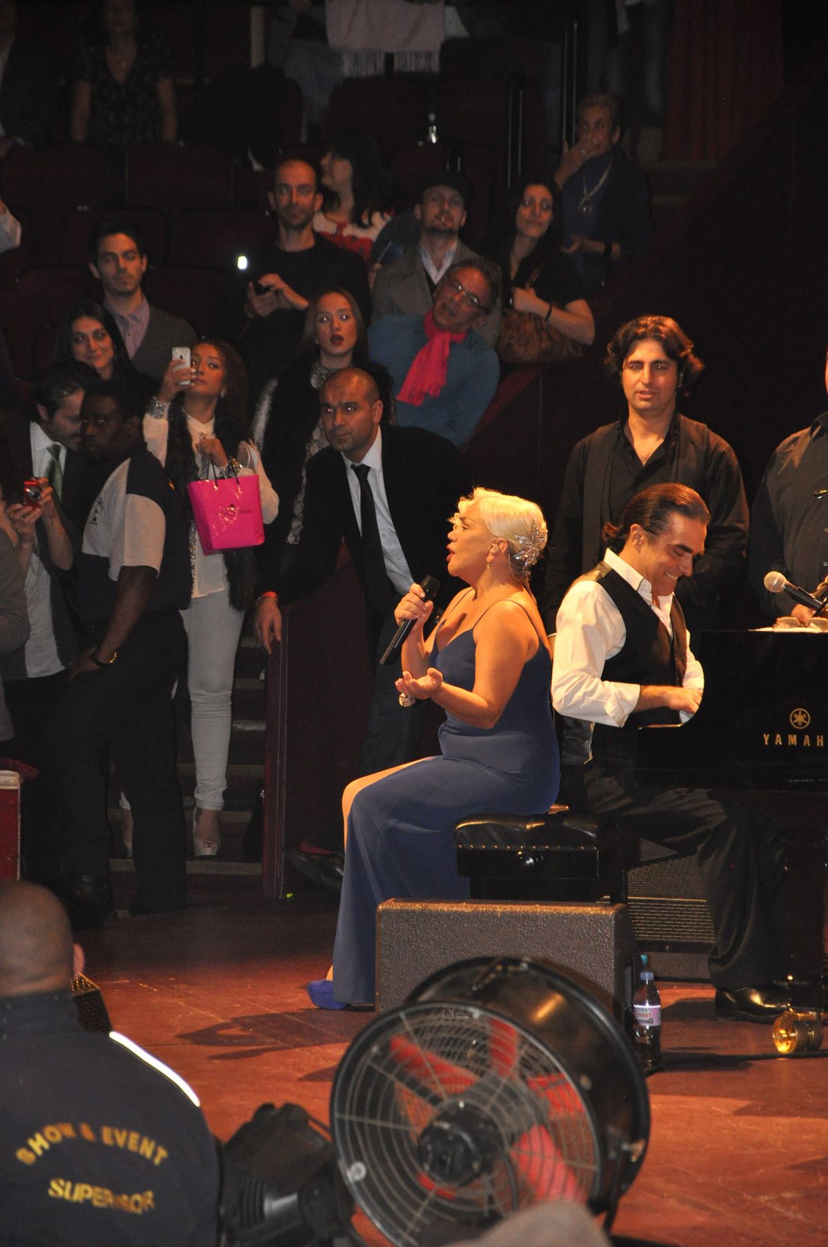 Sezen Aksu, Londra'da 'barış' Mesajları Verdi