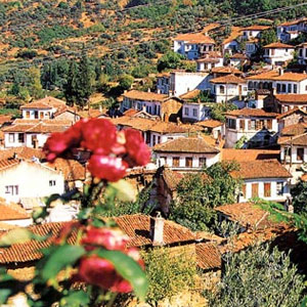 Şirince Köyü\'ne Yeni Yol