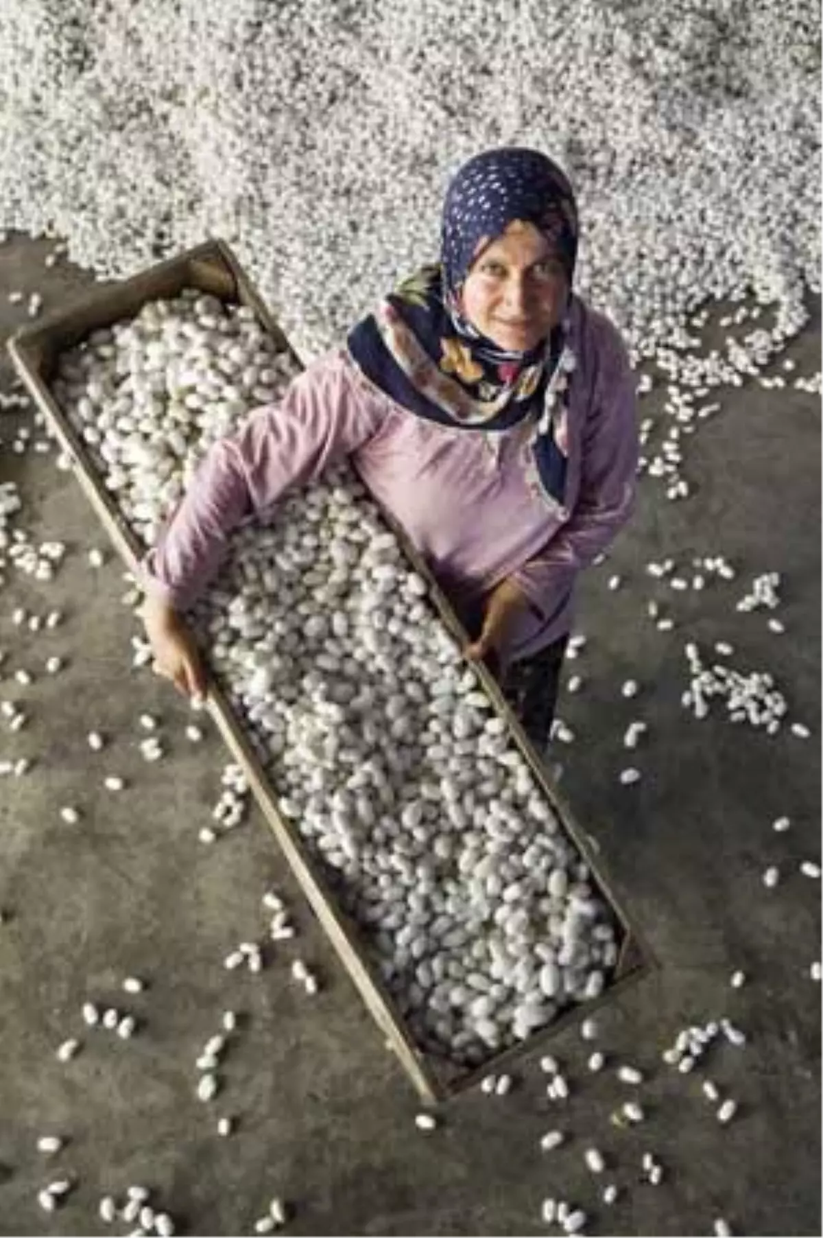 Fotofest\'de Ödüller Sahiplerini Buldu