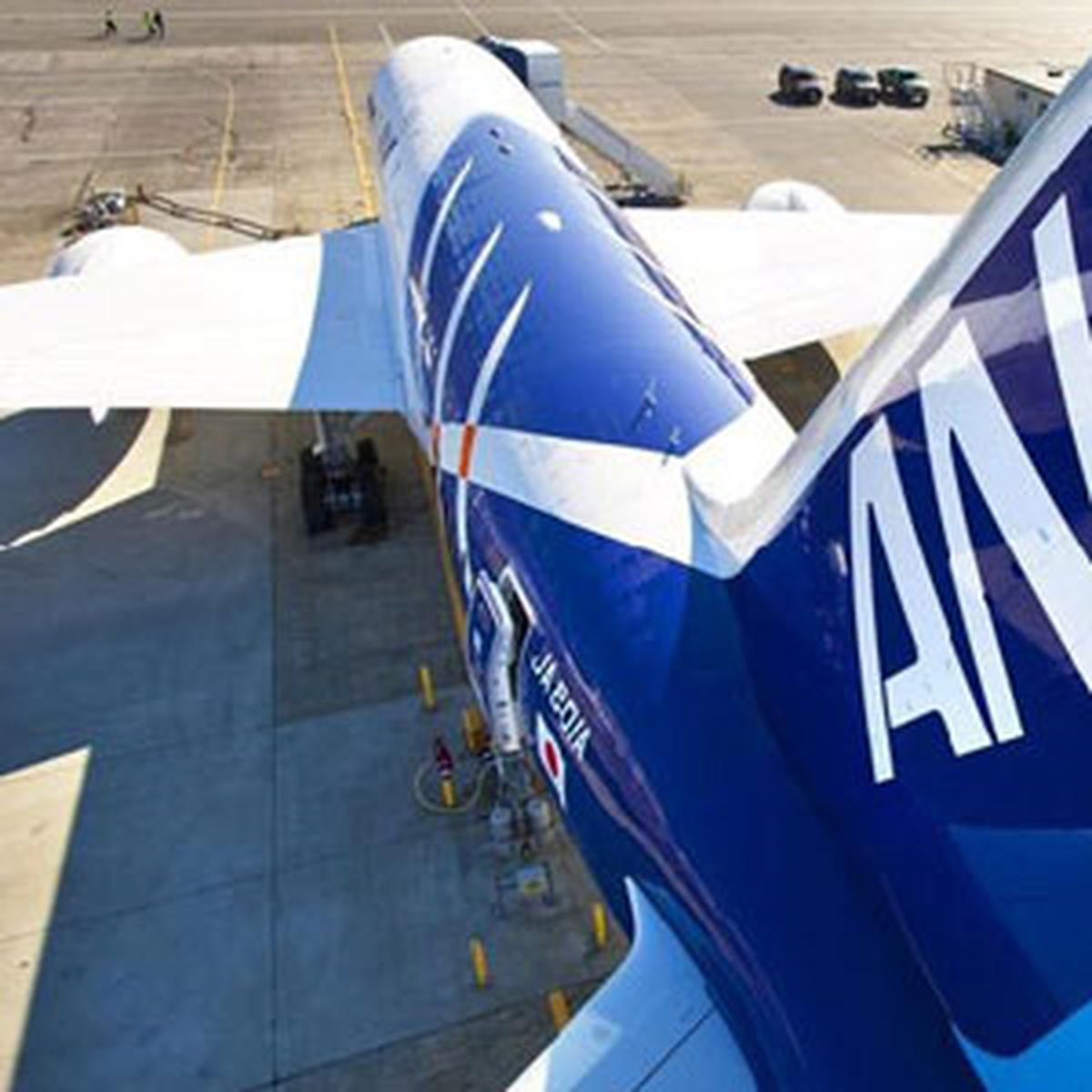"Plastik Boeing" İlk Ticari Seferini Yaptı