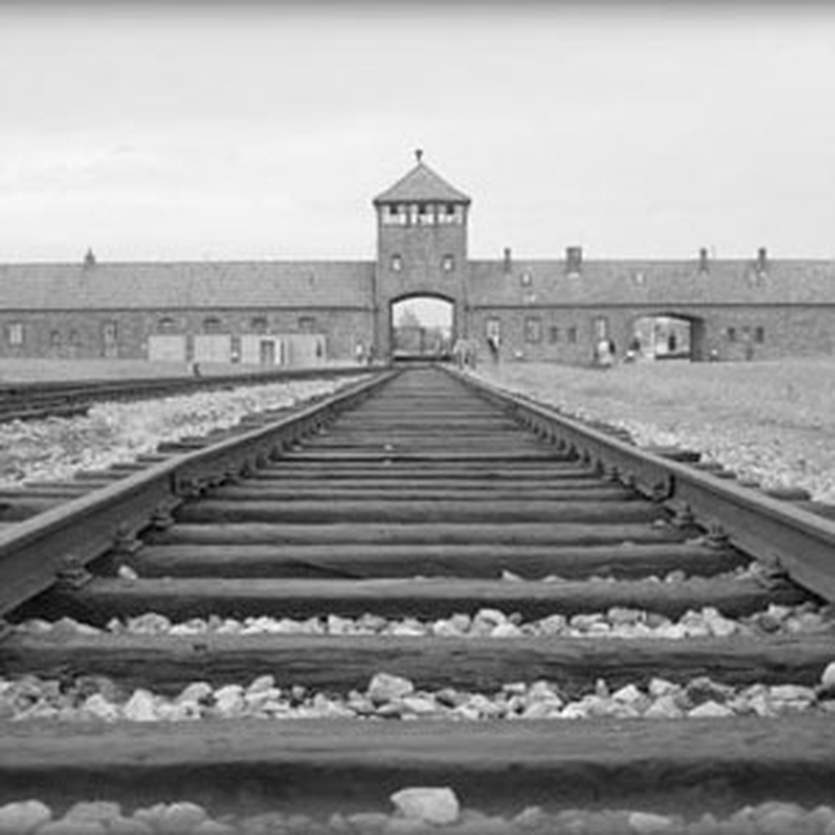 Polonya Auschwitz Soruşturmasını Yeniden Başlattı