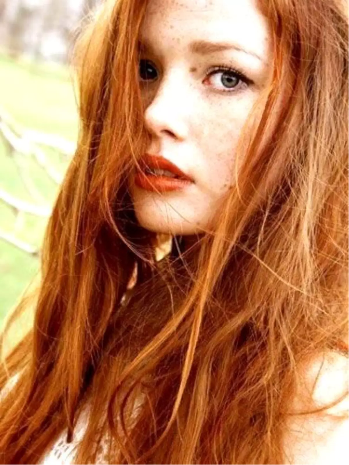 Çillere Bitkisel Çözümler