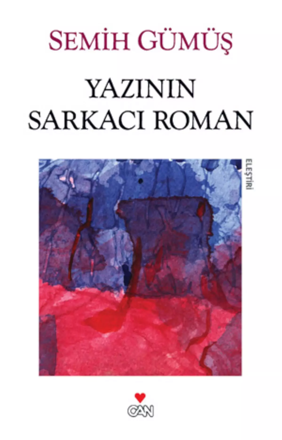 Yazının Sarkacı Roman