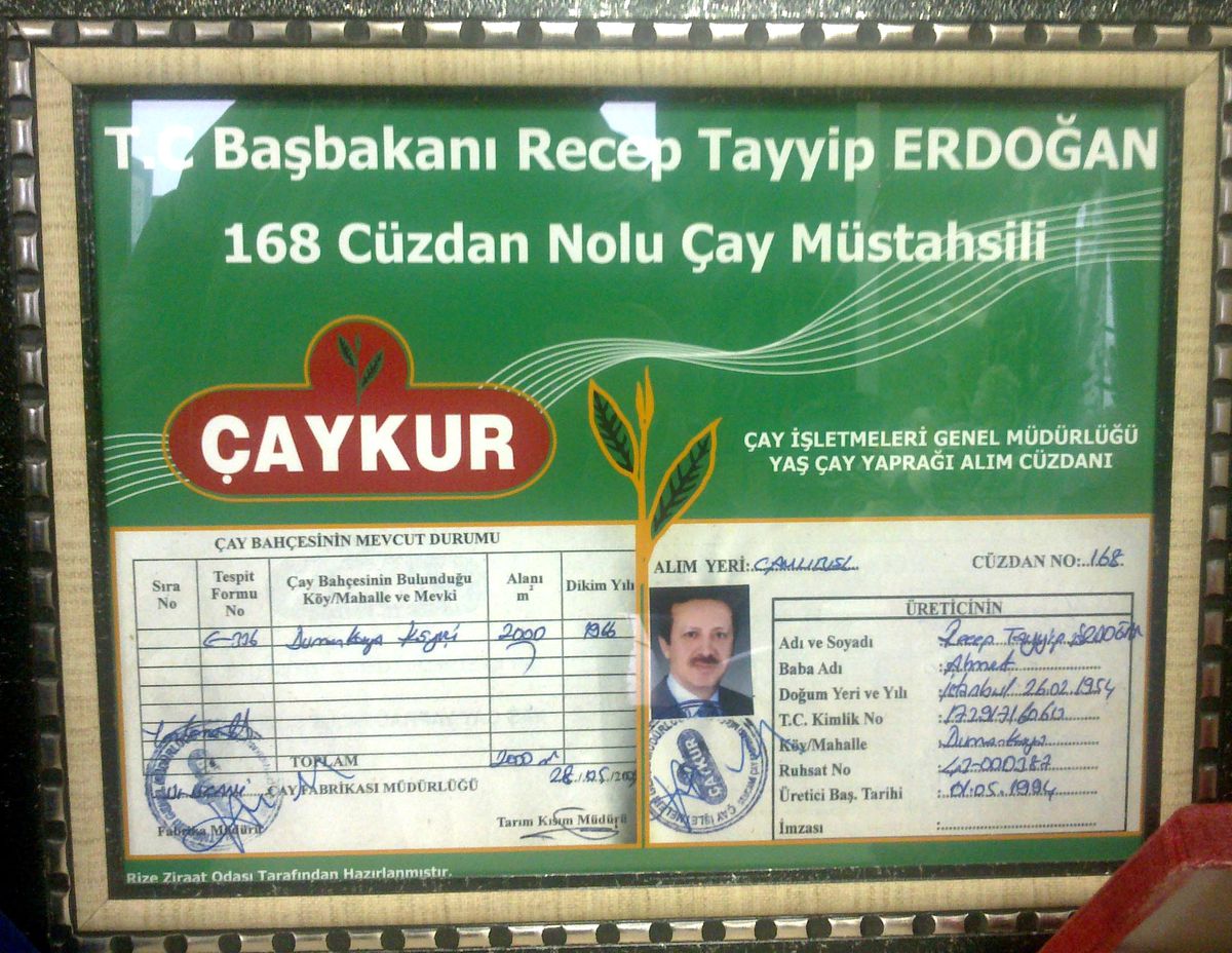Başbakan Erdoğan'ın Çay Bahçesi Yılda 4 Bin 500 Lira Kazandırıyor