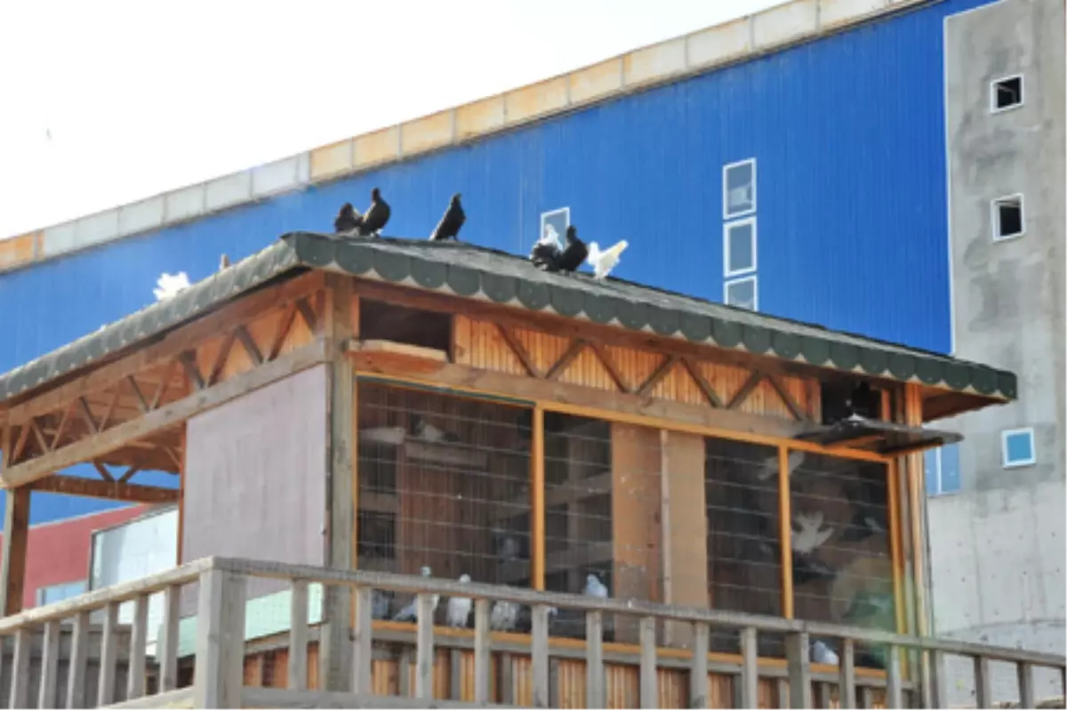 Hayvan Bakım ve Rehabilitasyon Merkezi