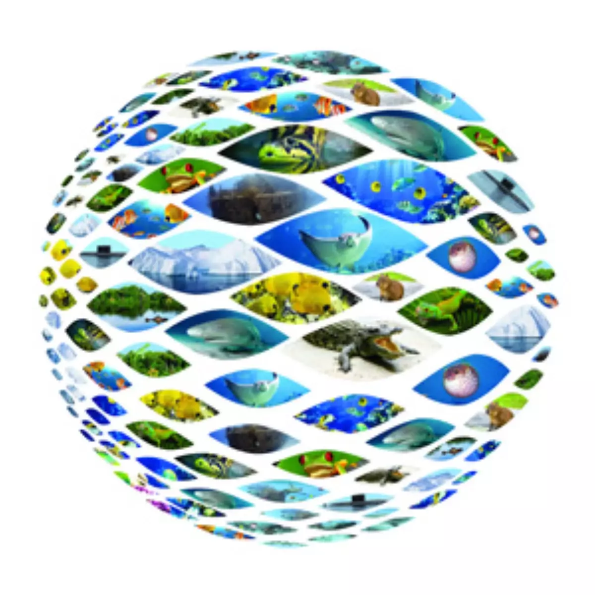 Akvaryum Sizleri Bekliyor