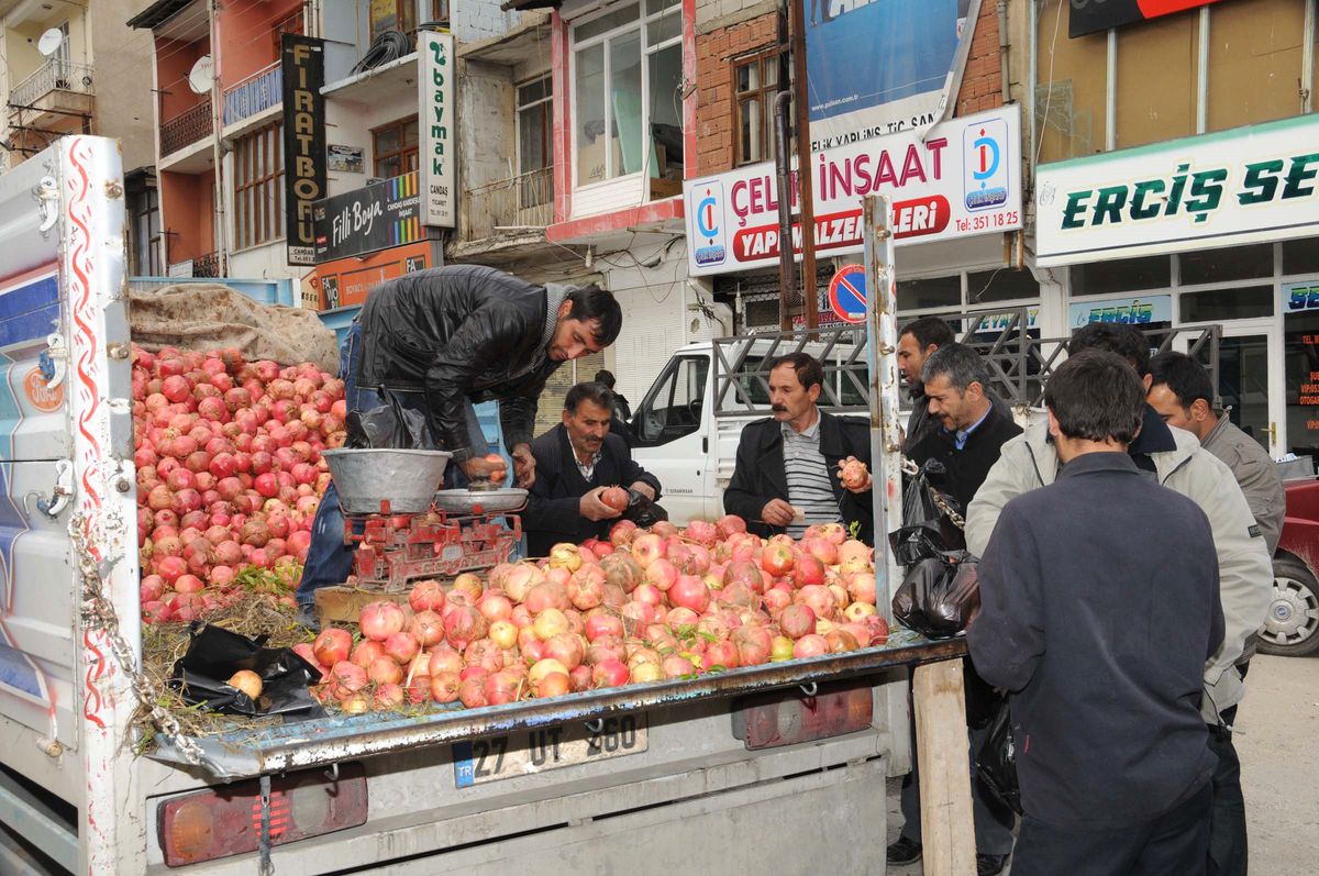 Depremin Vurduğu Erciş'te Hayat Normale Dönmeye Başlıyor