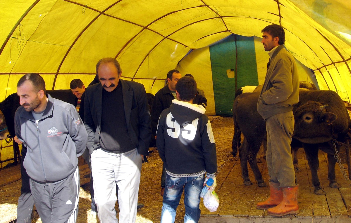 Kurbanlık Satıcısı Maliyetten, Alıcı İse Fiyattan Yakınıyor