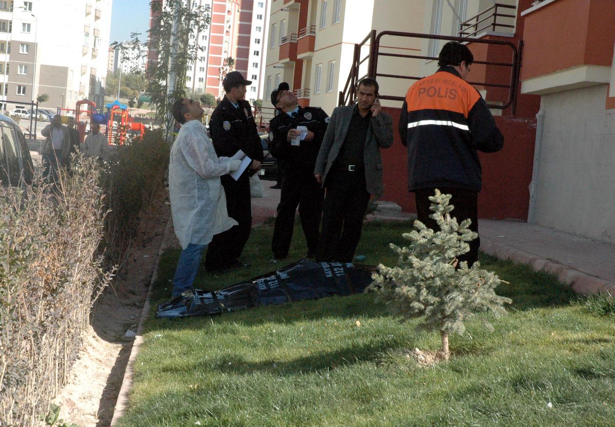 7'nci Kattan Ölüme Atladı
