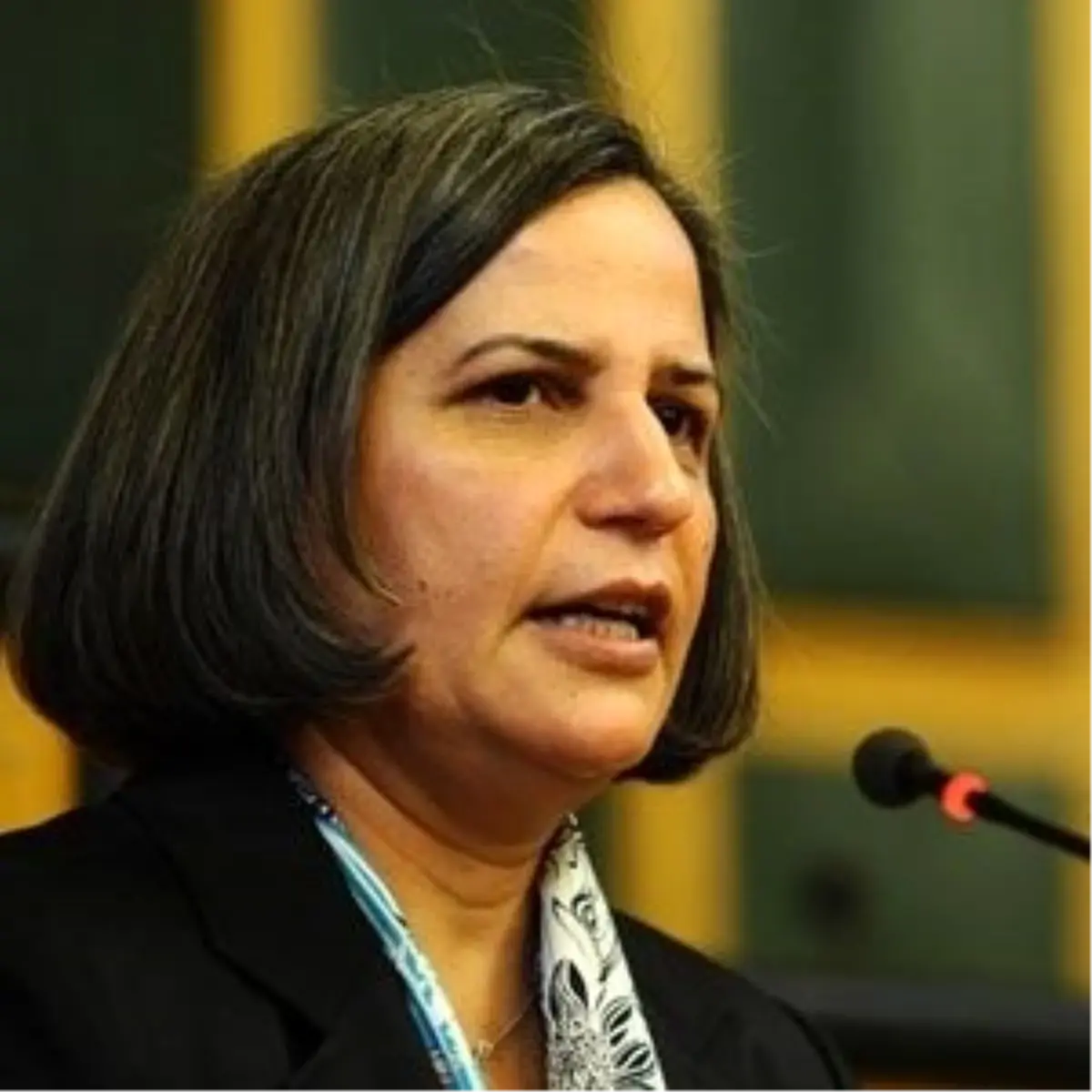 BDP\'li Kışanak: "Paralel Devlet BDP\'mi?"