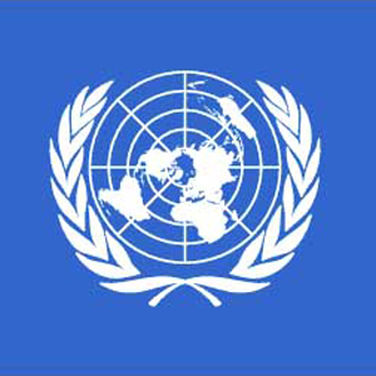 Bm, Korsan Saldırılarını Kınadı