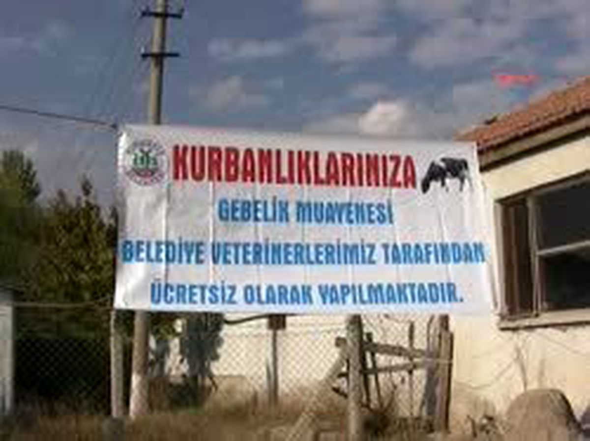 Kırıkkale Belediye Başkanından Hayvan Pazarı Müjdesi