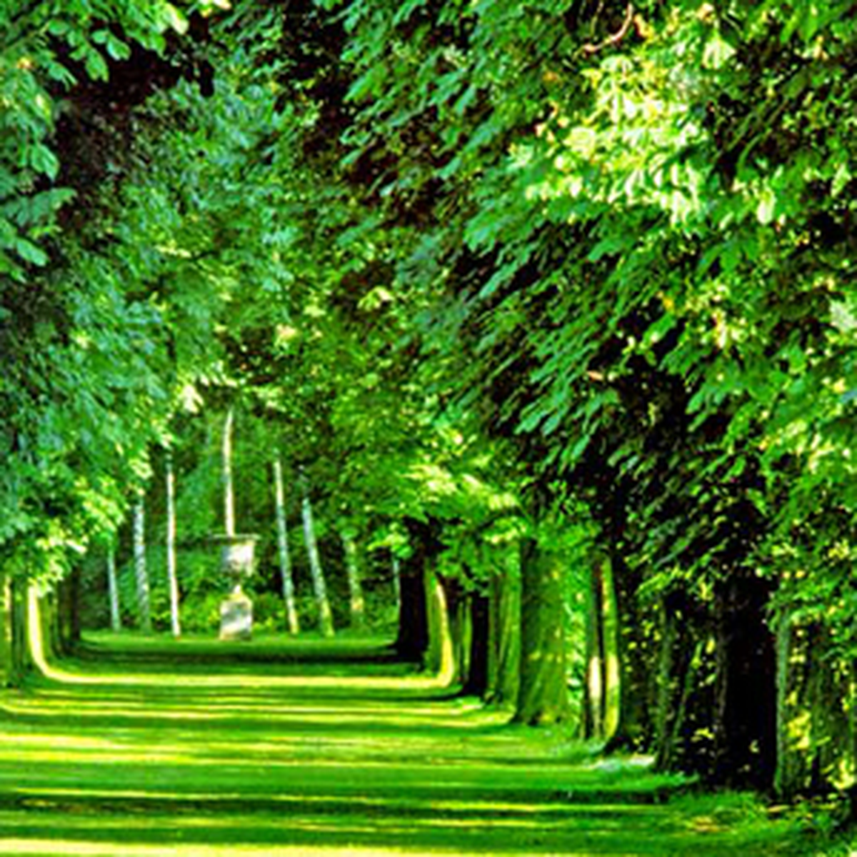 Orman ve Su İşleri Bakanlığının Teşkilat ve Görevleri Değiştirildi