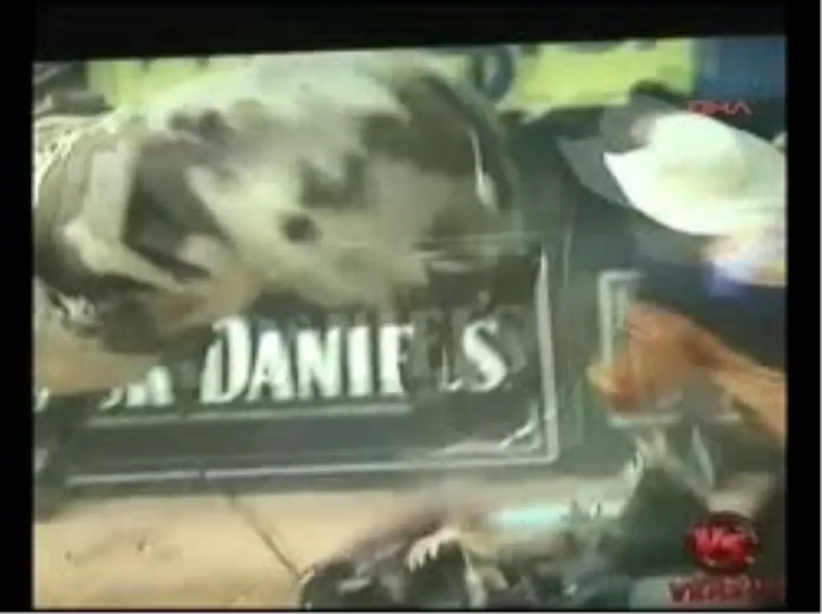 Rodeo\'da Nefeslerin Tutulduğu Anlar