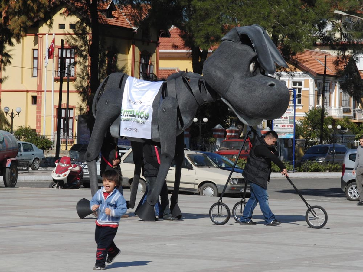 Hakkını Arayan Eşek Milas'tan Yola Çıktı