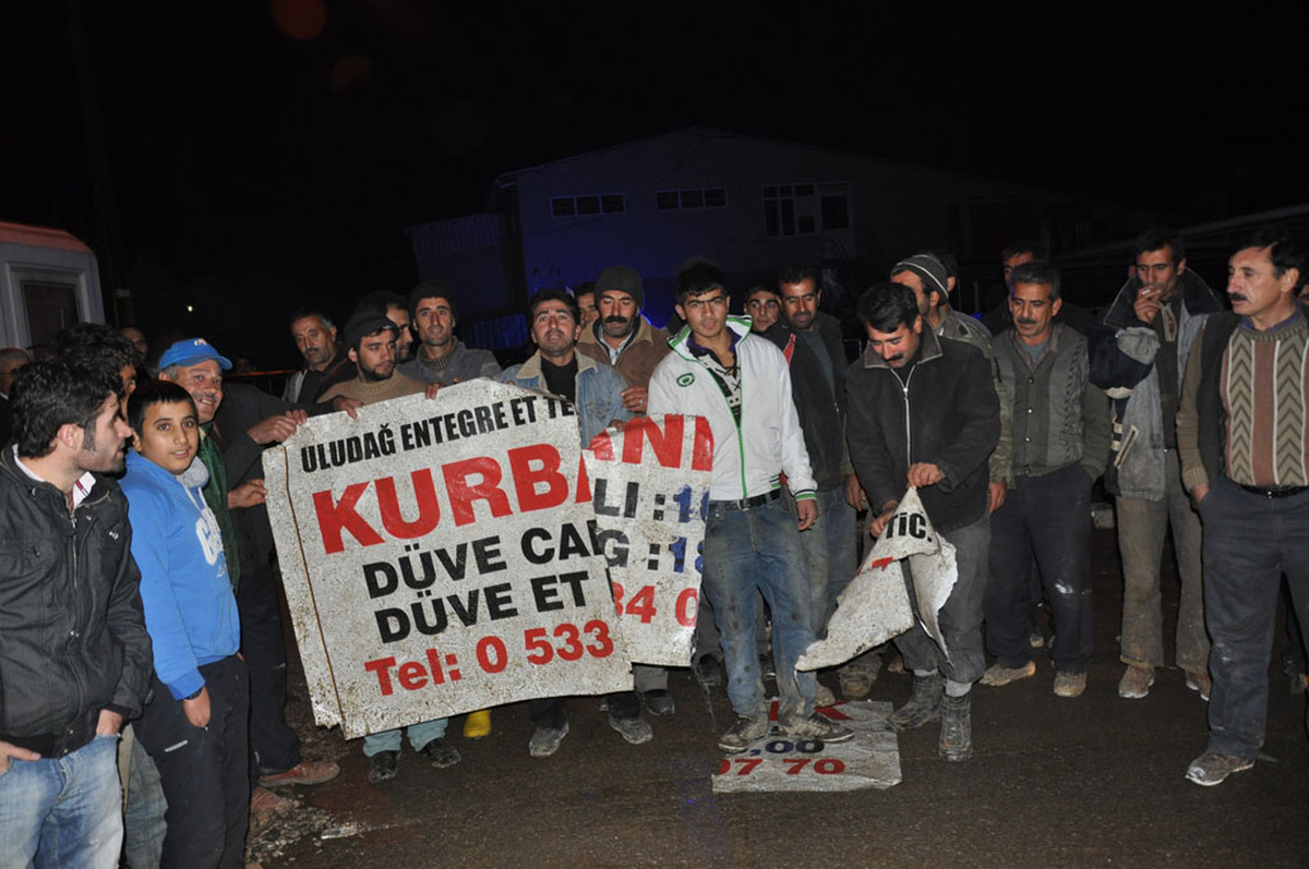 Hayvan Satıcılarının Angus Eylemi