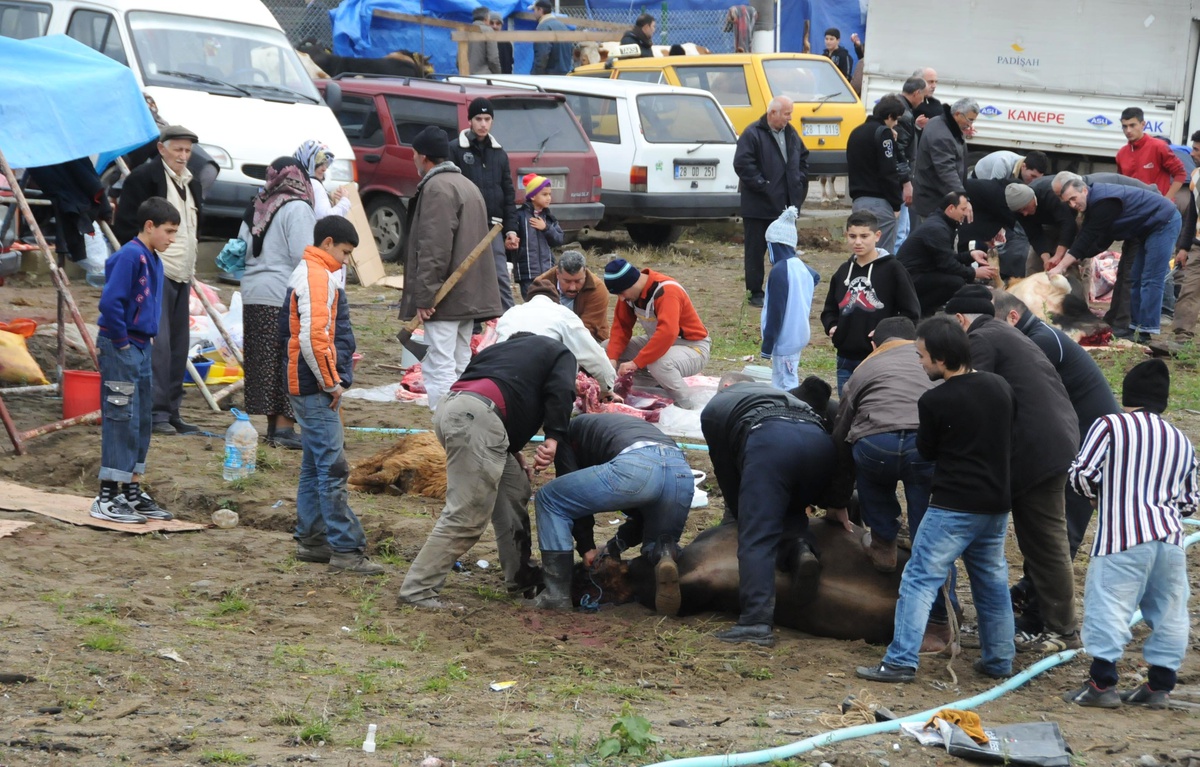 Giresun'da Kurban Kesim Yerleri Tercih Edilmedi