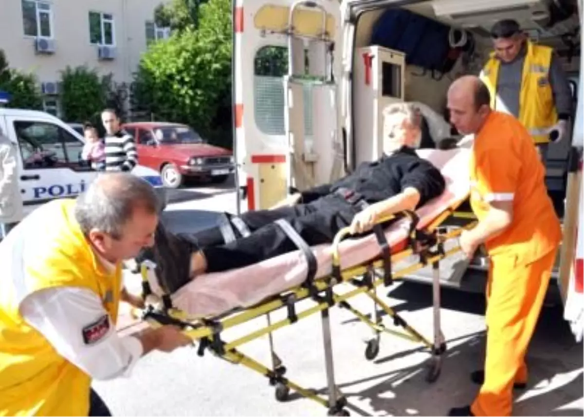 İsveçli Turist, Kurban Kesimini İzlerken Bayıldı