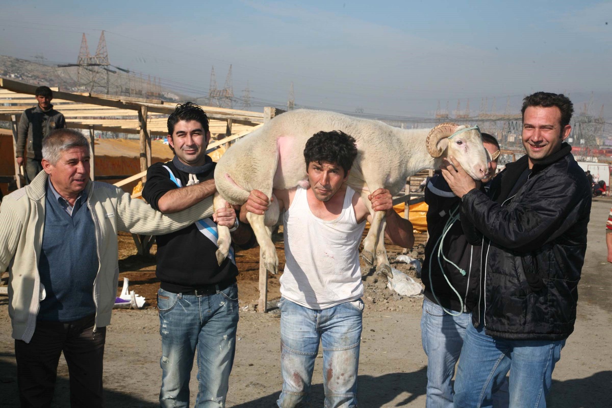 Kurban Pazarlarında İthal-Yerli Rekabeti