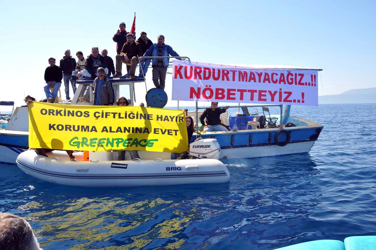 Seferihisar Orkinos Çiftliğine Mahkeme 'Dur' Dedi