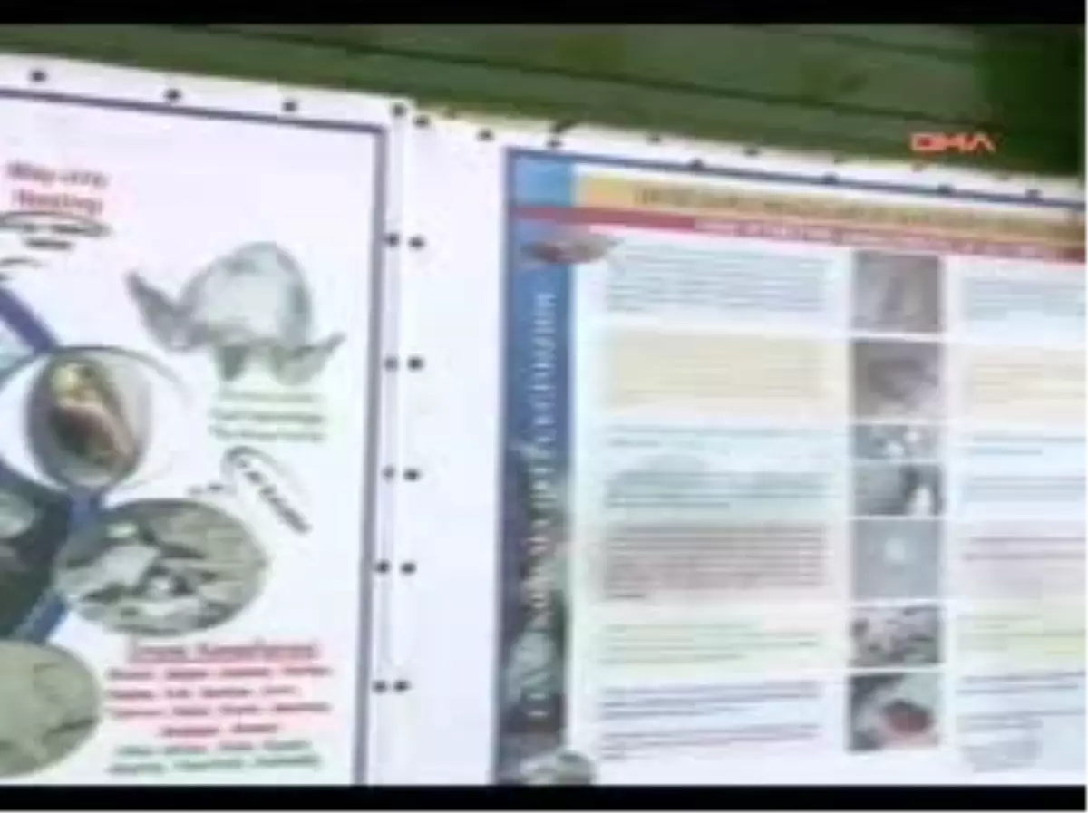 İztuzu Sahiline Bayramda Tatilci Akını