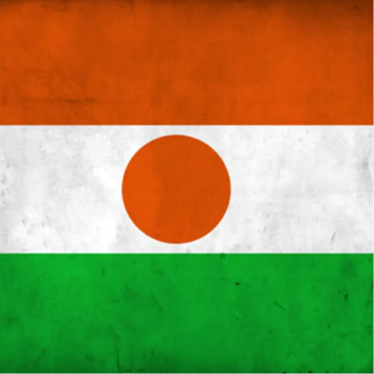 Nijer\'de Marketler Ege Ürünleri ile Dolacak