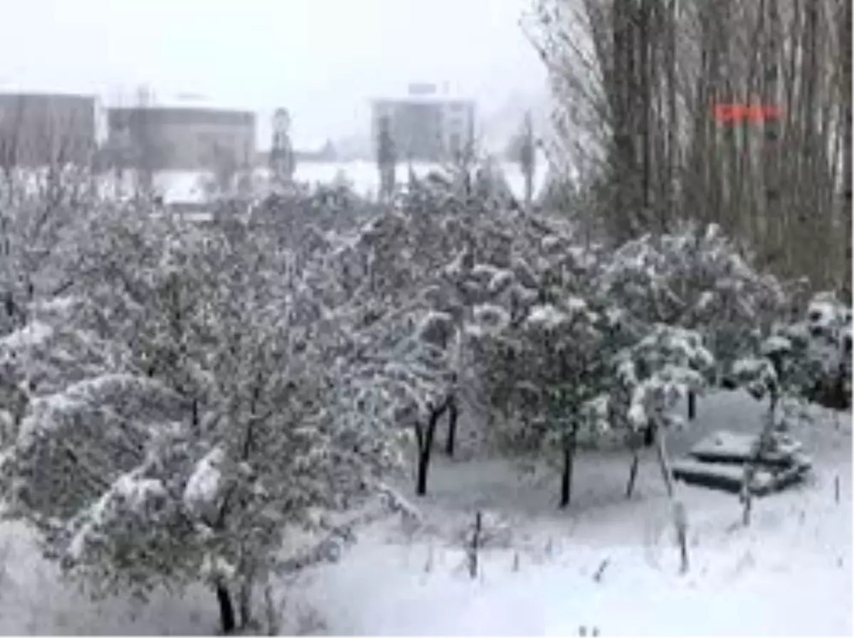 Hakkari'de Kar Yolları Kapattı