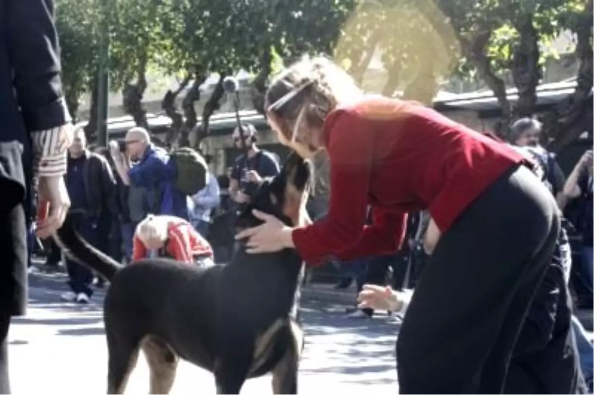 Yunanlılar Yeni Hükümetten Umutlu