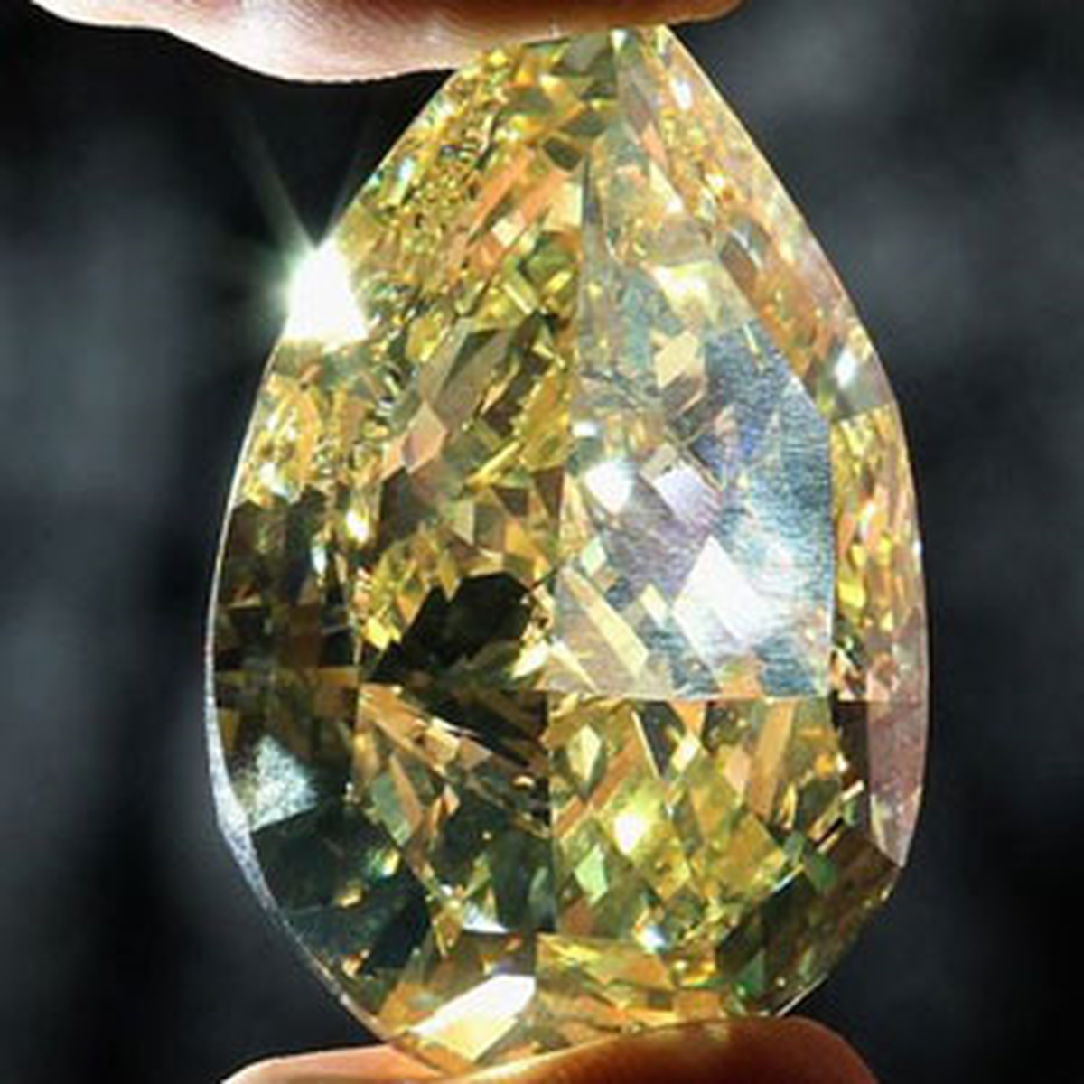 O Dünyanın En Büyük Sarı Elması