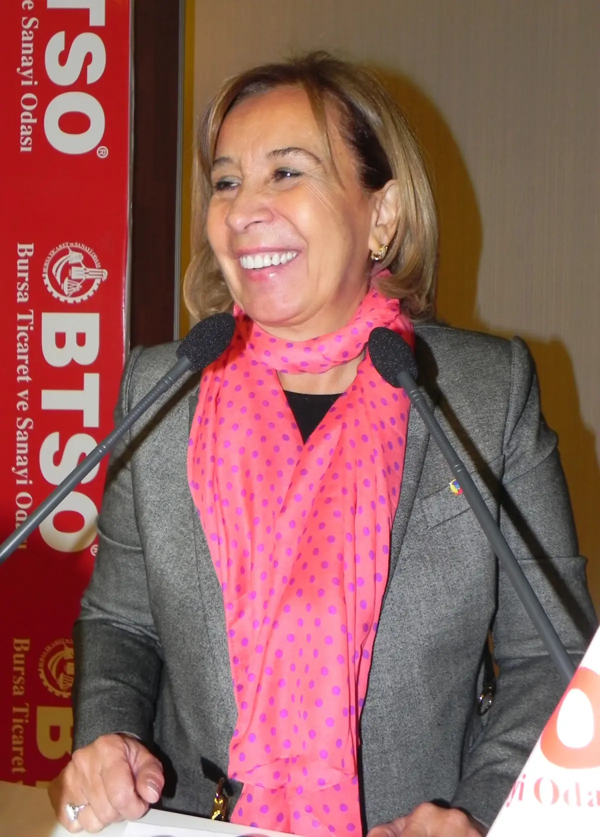 Bektaş, Bakan Şahin\'i \'atom Karınca\'ya Benzetti