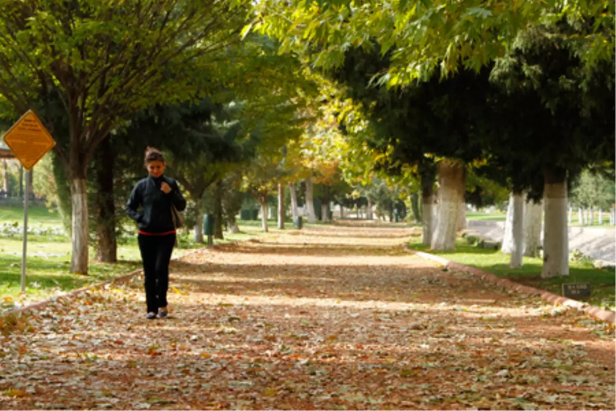 Haydi Gaziantep, Gazel Depelemeye