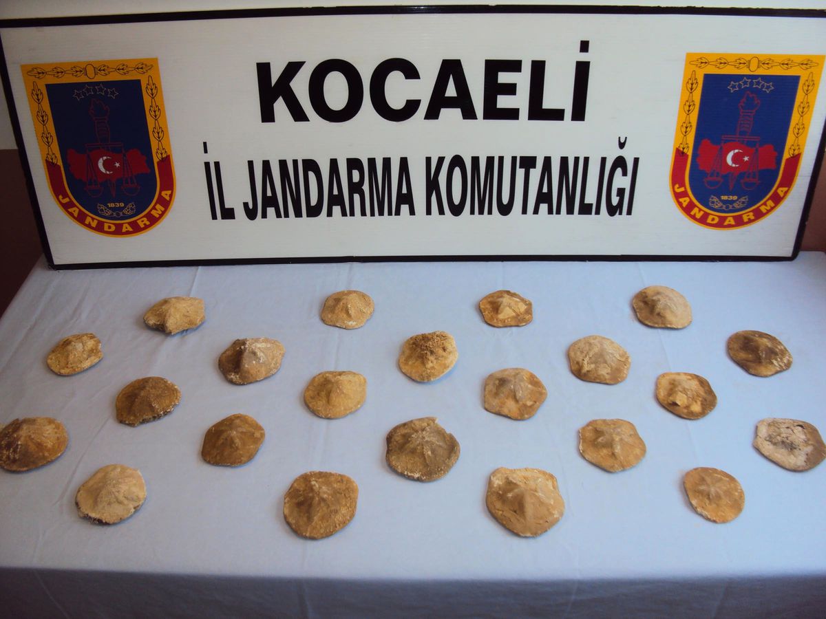 Kocaeli'de Tarihi Eser Operasyonu