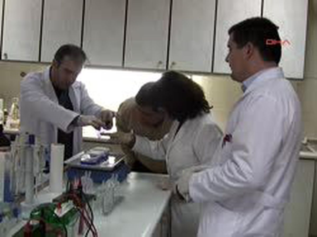 Fırat Üniversitesi'nin Araştırmasında Ortaya Çıktı, Domates Kanser İlacı Oldu