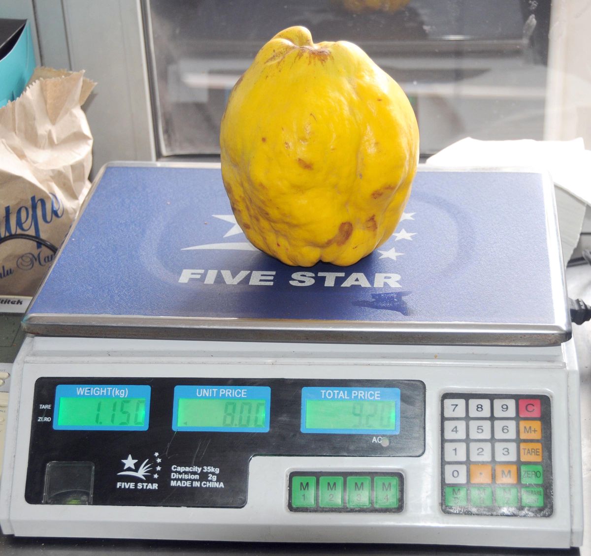 1 Kilo 150 Gramlık Ayva Yetiştirdi
