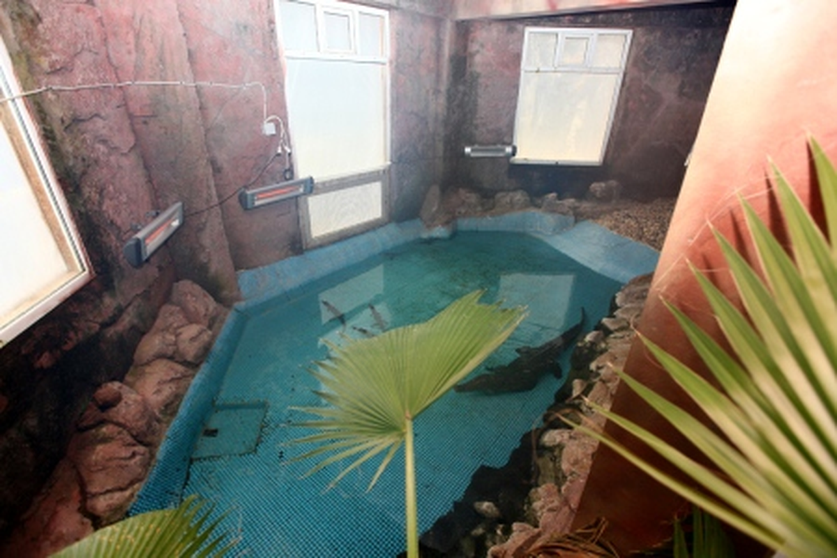 Gaziantep Hayvanat Bahçesi Kışa Hazır